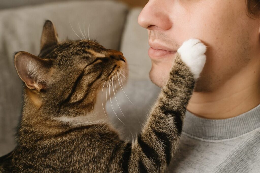 猫が飼い主の顔を優しく前足で触れている様子の写真